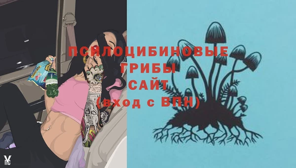 винт Переславль-Залесский